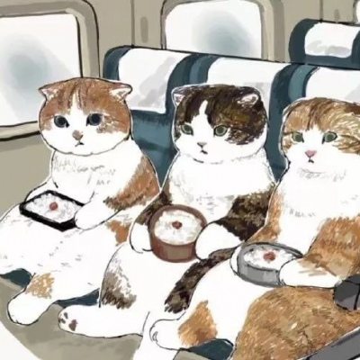 首次披露！5年前“下海”的女官员“靠监管吃监管”，中央巡视后落马